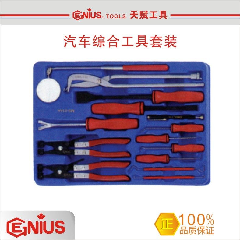 Taiwan gift tool GENIUS Various specifications Dandelion Sleeves Wrench Inner 6 Corner Combination Tool