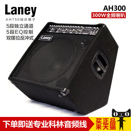 Laney Lenny AH300 Electric Guitar Multifunction Speaker Electric Drum Keyboard Rehearsal Monitor Speaker