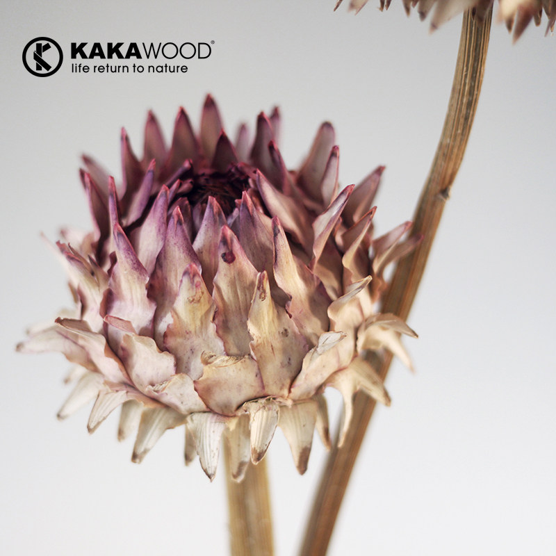 kakawood��ŷ��ʽ�ߵ� ֲ��ɻ�