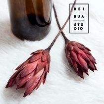 South Africa imported lotus princess dried flowers Nordic style Japanese retro dessert shop Coffee restaurant Home soft decoration