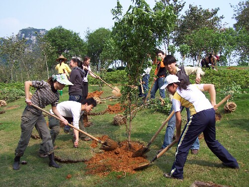 Special water-retaining agent for agriculture, fruit tree planting, afforestation, humectant, polymer absorbent resin