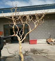 Direct sales Log modeling dry branches peeled natural color Home improvement modeling small dead tree Hotel decoration wedding ornaments trunk