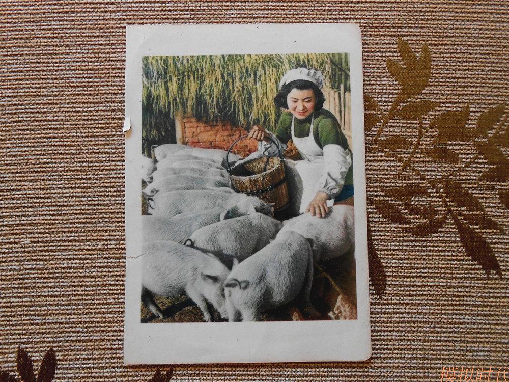 An old painting piece by a female keeper 50s