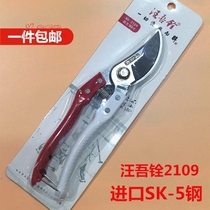 Wang Wuquan 8 inch imported SK5 steel gardening scissors spring fruit tree flowers and trees pruning branches fruit branches