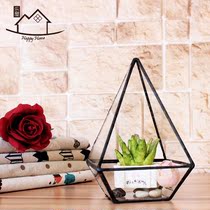 Glass cover ornaments creative geometric micro landscape succulent plant ecological bottle Crafts gift box Eternal Flower Room pot