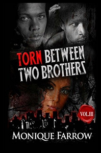 【预售】Torn Between Two Brothers Volume III