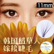 11mm tự nhiên thực tế mềm uốn cong lông mi đơn dày đặc trồng lông mi giả lông nước thuần bờm ghép lông mi