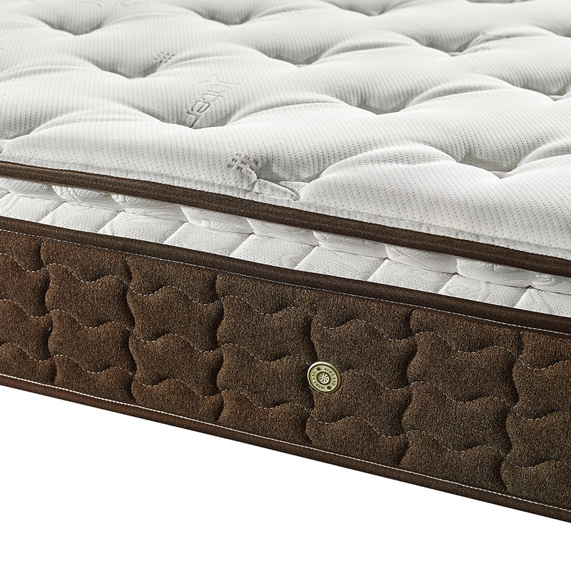 ��������yl-��plus