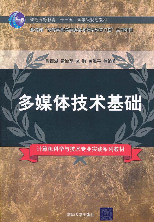 多媒体技术基础（计算机科学与技术专业实践系列教材）