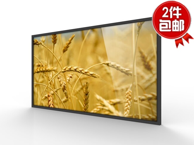 Goodview M55SAP 55 inch HD cloud digital signage Network advertising machine