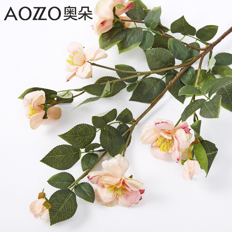 �¶�����ɽ�¼��ٻ�80111301114