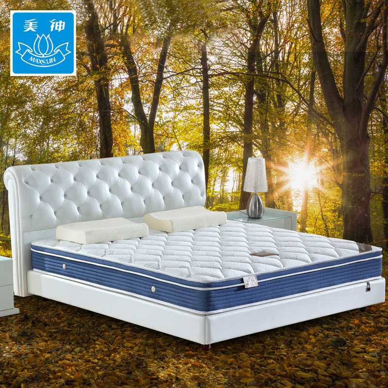 ������Ȼֲ���������ɴ���MS-803