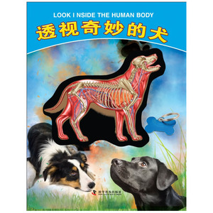 有趣的透视立体书--透视奇妙的犬（不一样的精装立体体验书）