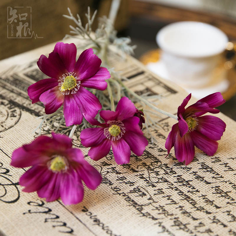 ֪���ٻ����滨BSJ-001