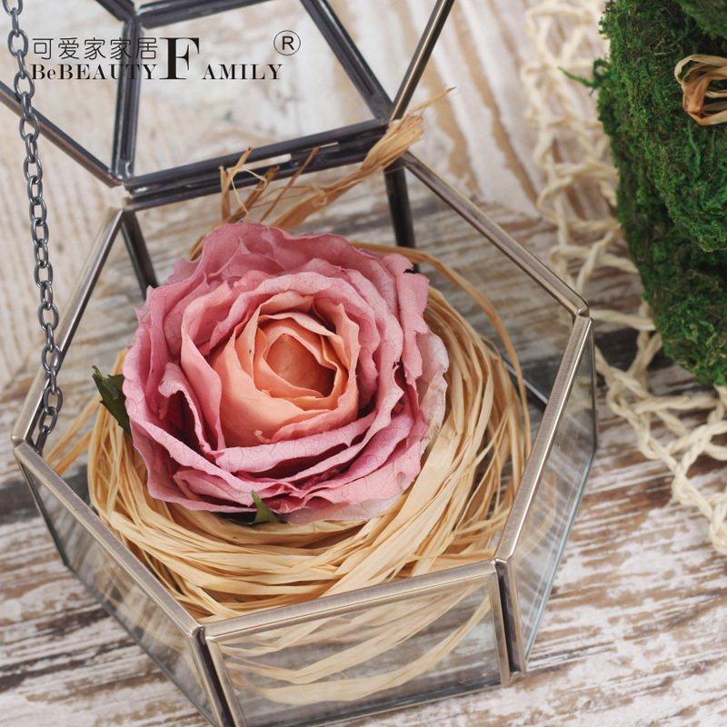 �ɰ��Ҹɻ�õ����в�����������������