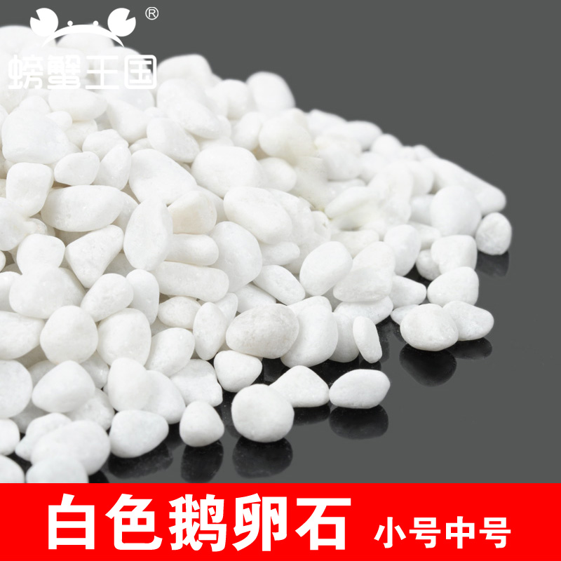 �з����ɳ�̽���ģ�Ͳ��ϰ�ɫʯ��С��