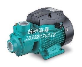 Leo Water Pump Micro Vortex Pump APM110 1100W 220V