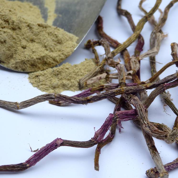 Dendrobium dendrobium Glial Dendrobium dendrobium Iron Sheet Maple Bucket Practical 50 gr No artificial cost Utility Tin