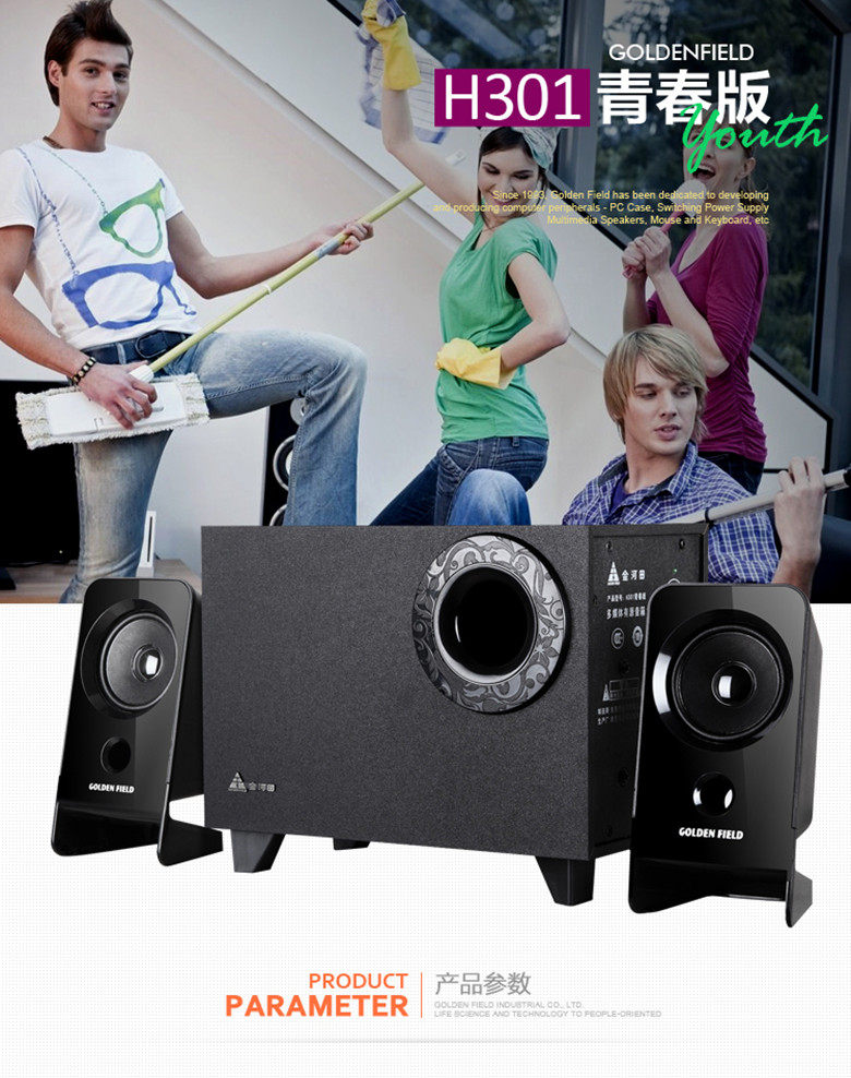 Golden Field Jinhetian H301 computer audio subwoofer desktop notebook speaker 2 1