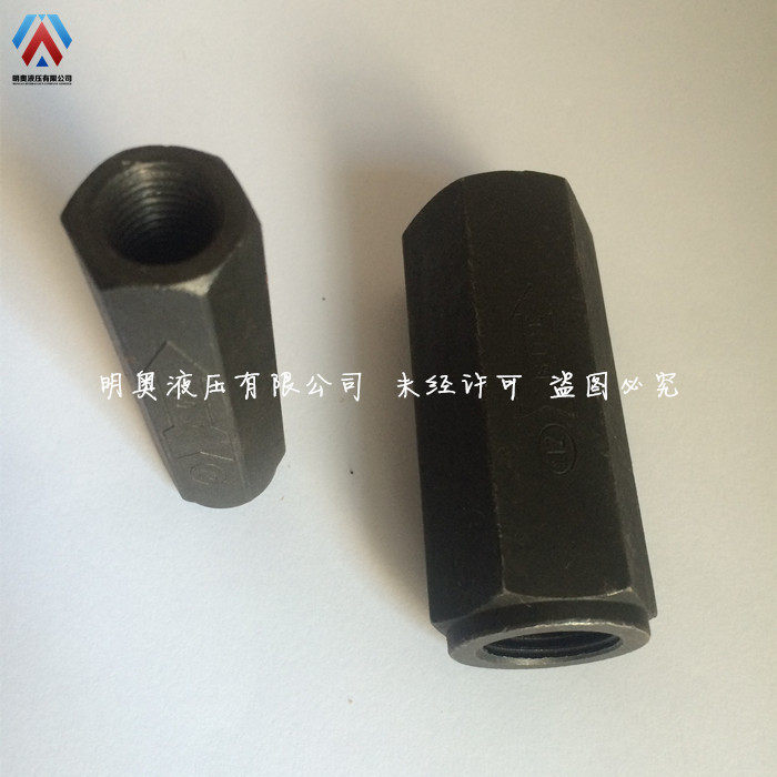 Hydraulic hydraulic check valve Tubular check valve Check valve CIT-02030406082 points 4 points