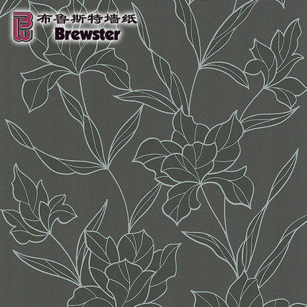 ��³˹�ؼ�Լ�޷Ĳ�ǽֽ��֮��Ӱh46280