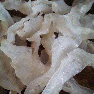 National Multi-provincial Leqing Phaki Produced Li Fa Sheng Sarfish Cartilage Sarfish Fish Brain Year Goods 500 gr