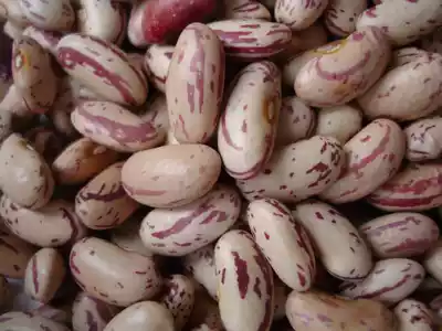 Northeast flower kidney beans, big flower beans, grains, grains, rice beans, farmers ' self-growing flower waist beans QmhGXWdQBq