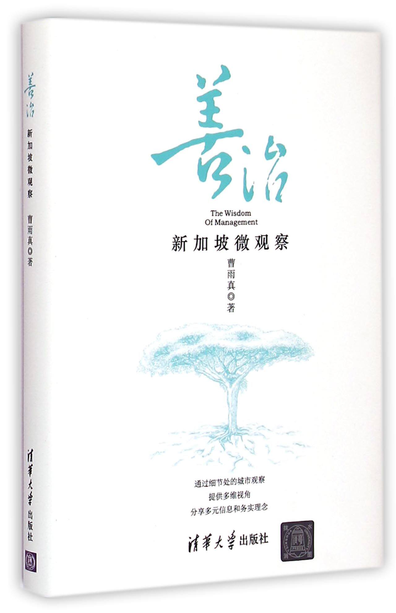 善治:新加坡微观察