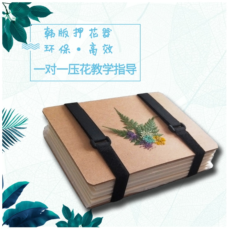 Flower Pressing Kit, Handmade DIY Plant Specimen Making Tools, LAOSHU Dried Flower Materials, Flower Pressing Board