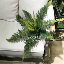 Large full and leafy simulation Persian grass hanging simulation green plant Persian grass plant wall decoration fake leaf Fern grass