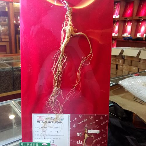 Hangzhou inspection second-class wild ginseng Changbai Mountain wild ginseng gift box back to Chuntang Qingyutang same quality special price