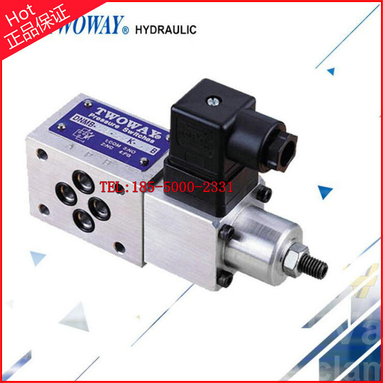 Taiwan Taiwan Ken TWOWAY pressure relay DMB-2A-150-PI PB TB pressure switch