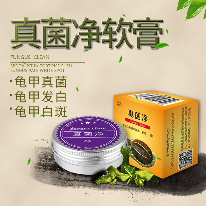 Tortoise Herb Turtle Fungus Cure Turtle Chia Hair White Fungus Infection Back Chia White Spot White Spotted Rot Beetle Turtle Net Turtle