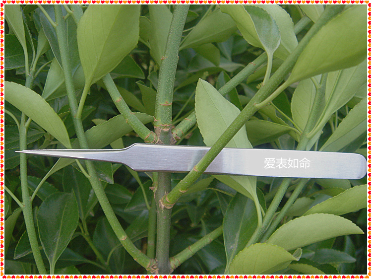 Stainless steel wire tweezers tip tweezers wire tweezers repair tweezers