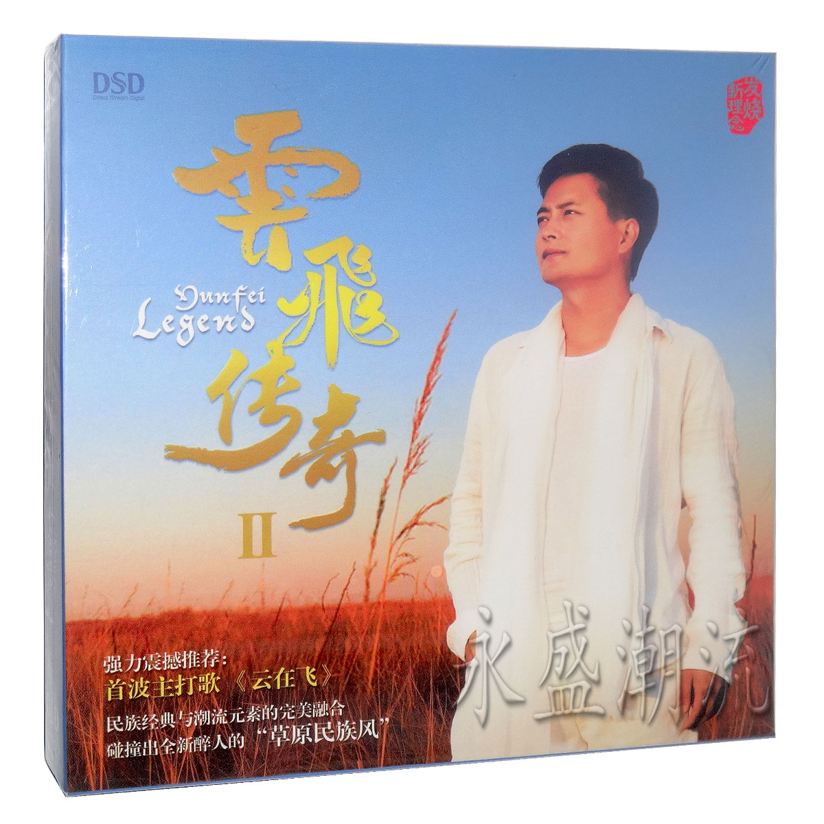 正版东升魔音唱片 云飞 云飞传奇2 2015最新专辑 DSD 1CD