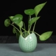 Long Tuyền celadon đồ trang trí sáng tạo thủ công cá tính thời trang thiết bị hoa trang trí nhà bình hoa thủy canh - Trang trí nội thất đồ dcor quán cà phê Trang trí nội thất