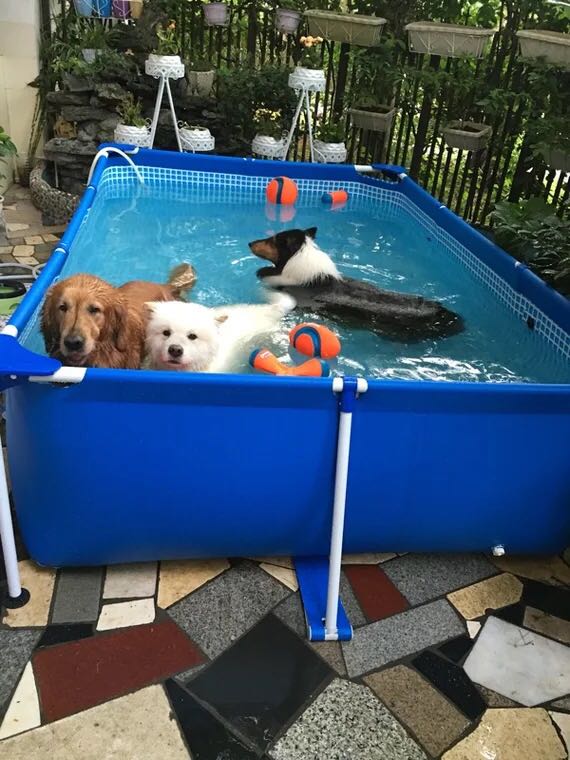 Large Pinch Mesh Pool Baby Swimming Pool Grid Adult Goldfish Pool Bracket Pool Pet Pool Show Water