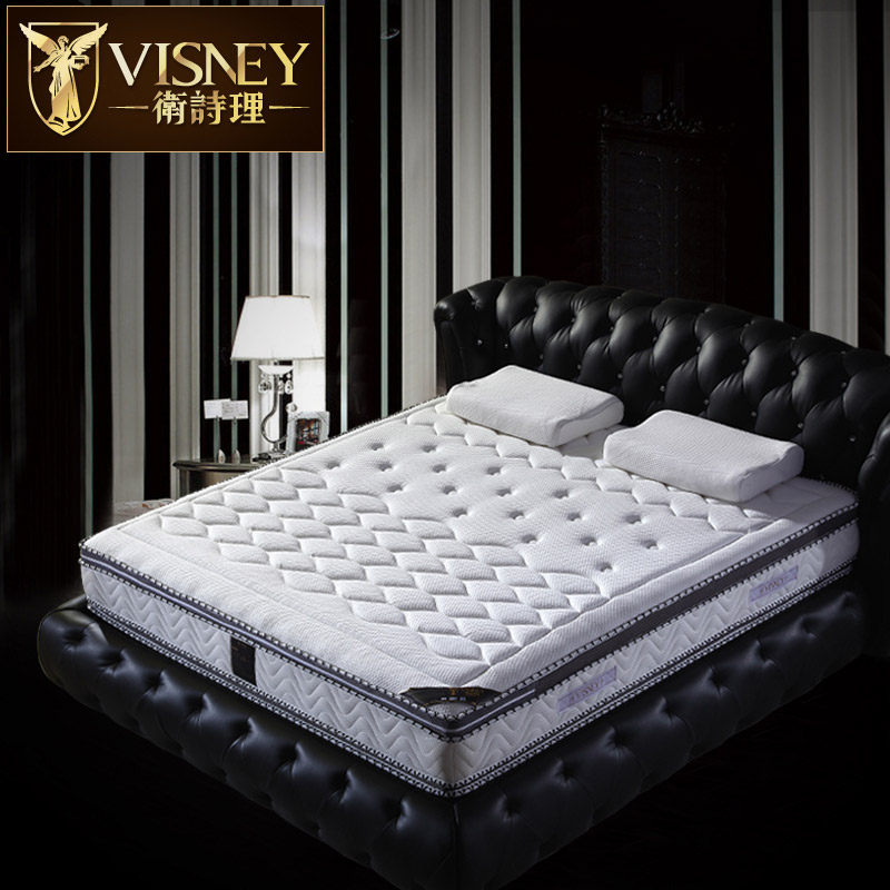 Visney����31019A3-1