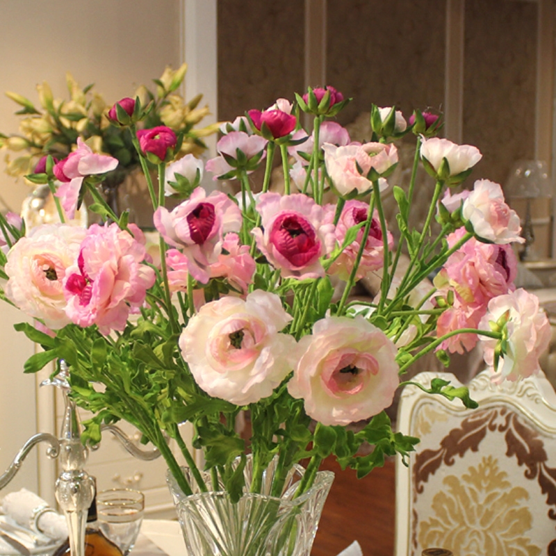 �����滨3ͷ��ɫ¶��