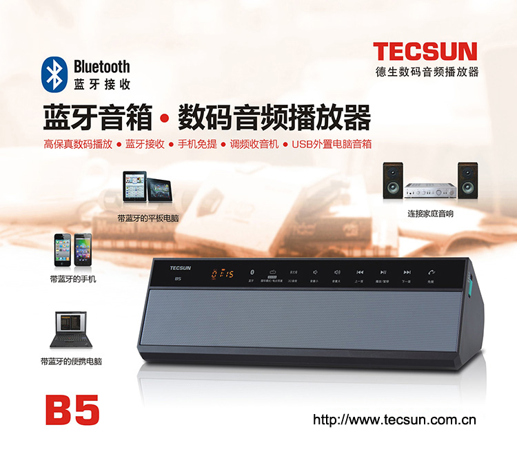 Tecsun B5 Bluetooth speaker FM radio gift:4GB card hanging bag