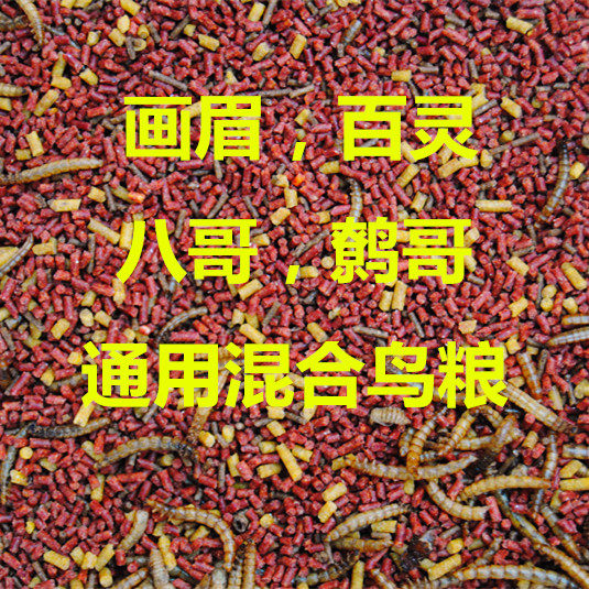 Bird food, myna, myna, thrush, lark bird food, mixed nutrition food, 500g, buy 9 get 1 free