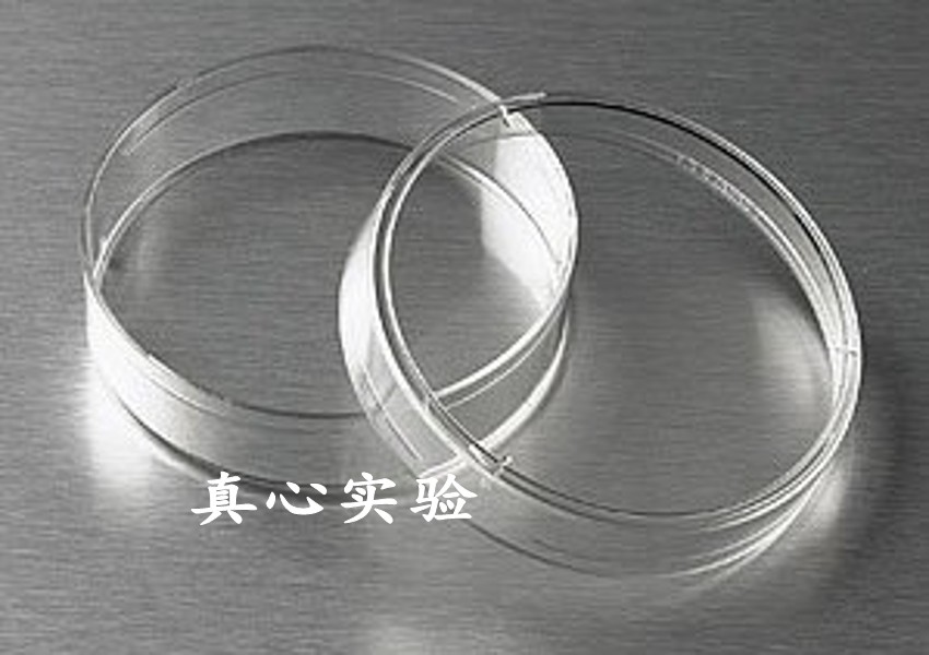 细菌培养皿 玻璃培养皿120mm 12cm 玻璃平皿 高硼料