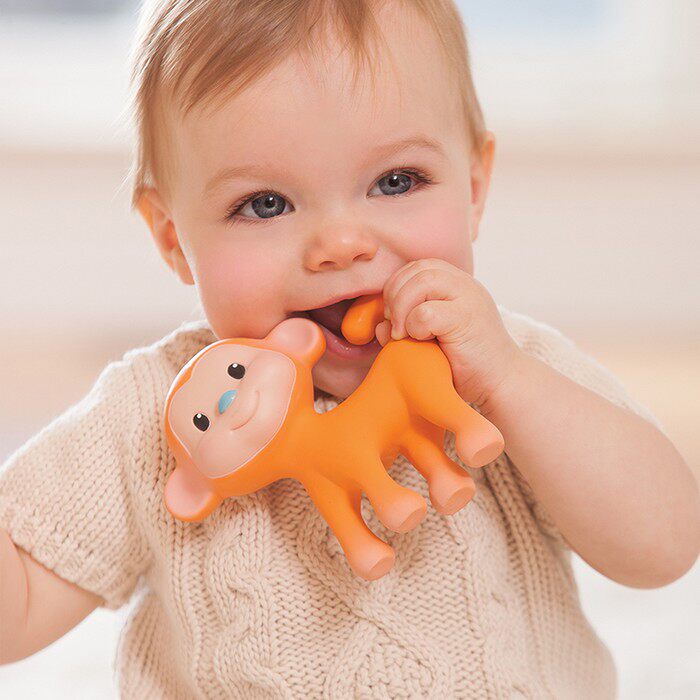 Clear Barn CC American Infantinogogaga Natural Rubber Baby Multiple Animal Grindle Appeasement Toy