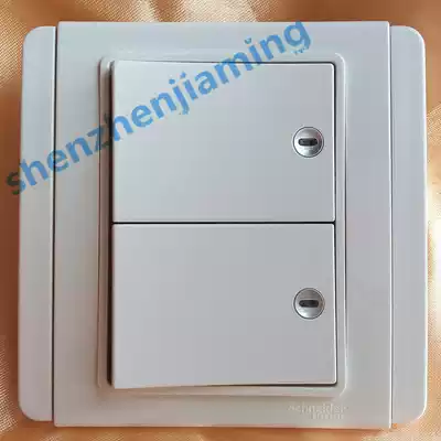 Schneider wins E3000 White series two double cut with LED indicator light two open double cut switch