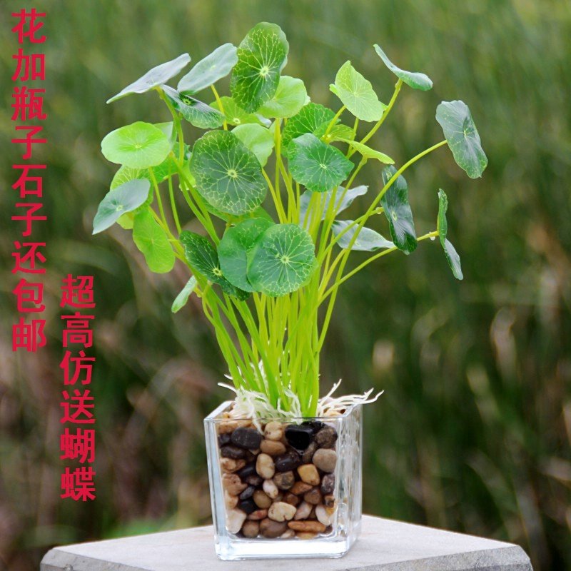 Simulation of fake flowers, silk flowers, four-leaf grass, green plants, potted flowers, decorations, tea table, table table, vase, small basin