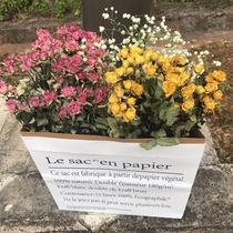 Rose natural dried flower Multi-head rose real flower Wedding club interior decoration living room decoration shooting props