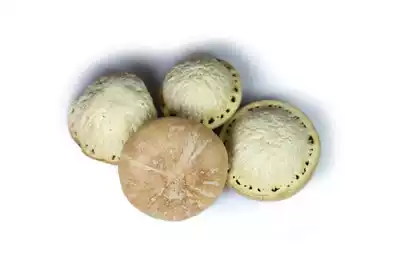 Wind fruit 500g glans head fruit Tianzhu grain Balis suitable for mulberry leaf Cistanche 2 pieces of vine fruit