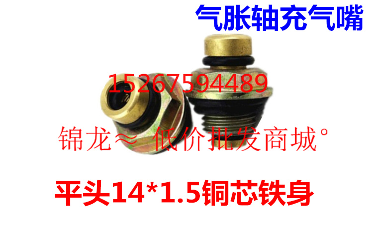 Flat head 14*1 5 copper core iron gas nozzle Gas expansion shaft gas expansion shaft Inflatable nozzle Inflatable nozzle Pneumatic shaft inflatable nozzle