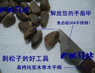Original imported pine nut shell opener sea oyster shell opening knife grapefruit open shell knife chestnut shell open knife