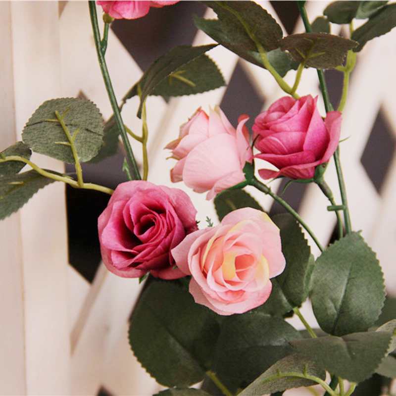 ������ɫõ���ٷ��滨��ɫõ����